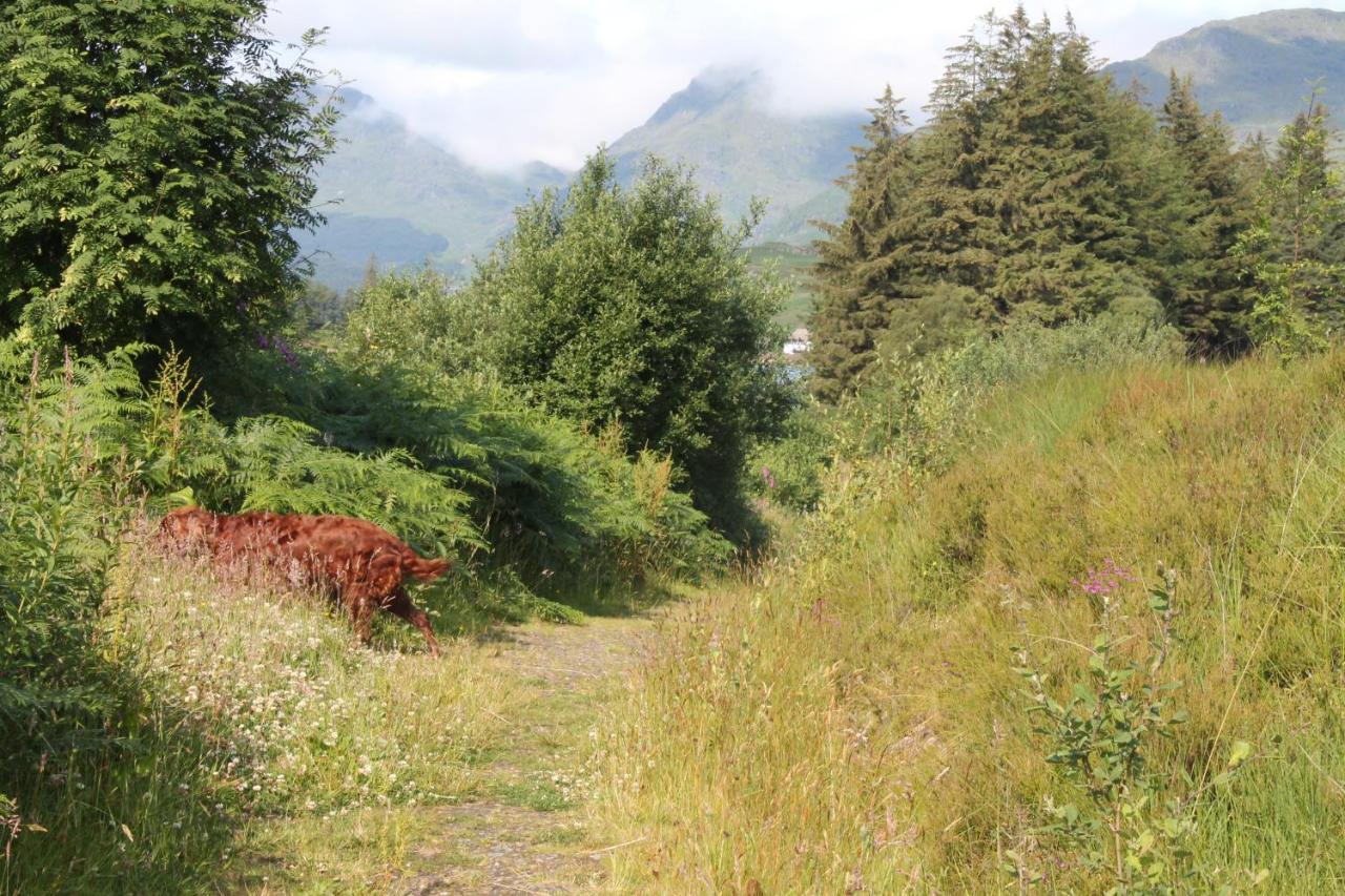 スターリング Loch Arklet House Bed & Breakfast エクステリア 写真