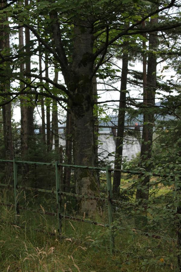 スターリング Loch Arklet House Bed & Breakfast エクステリア 写真